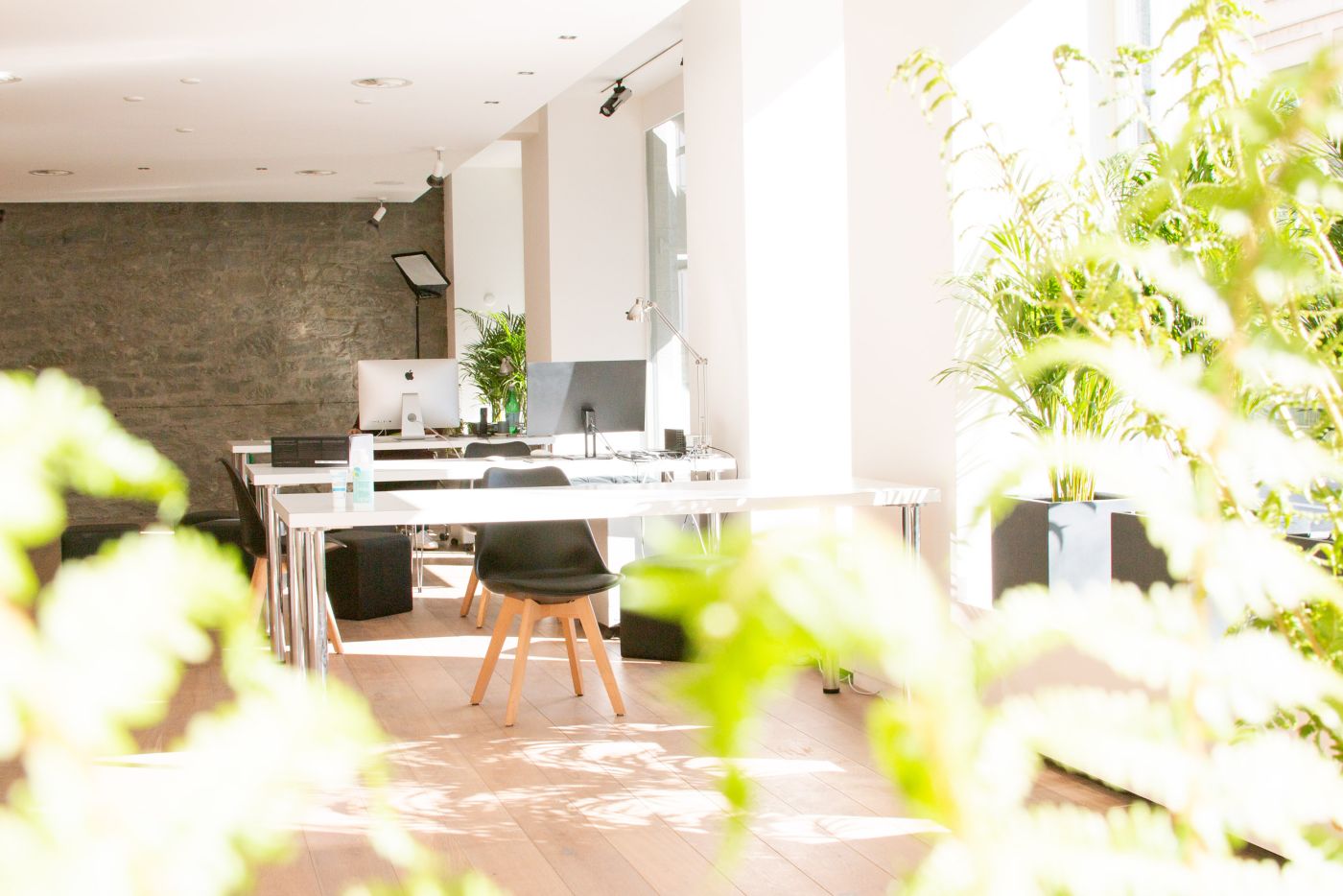 Werbeagentur-Schweiz