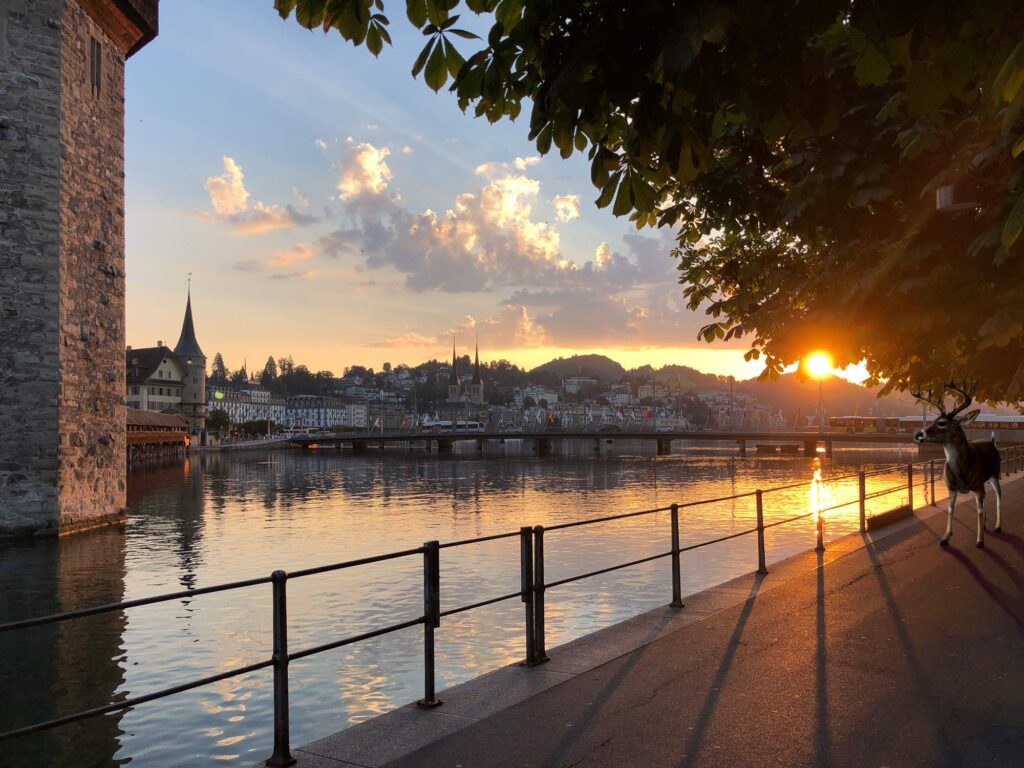 StadtHirsch Werbeagentur Luzern