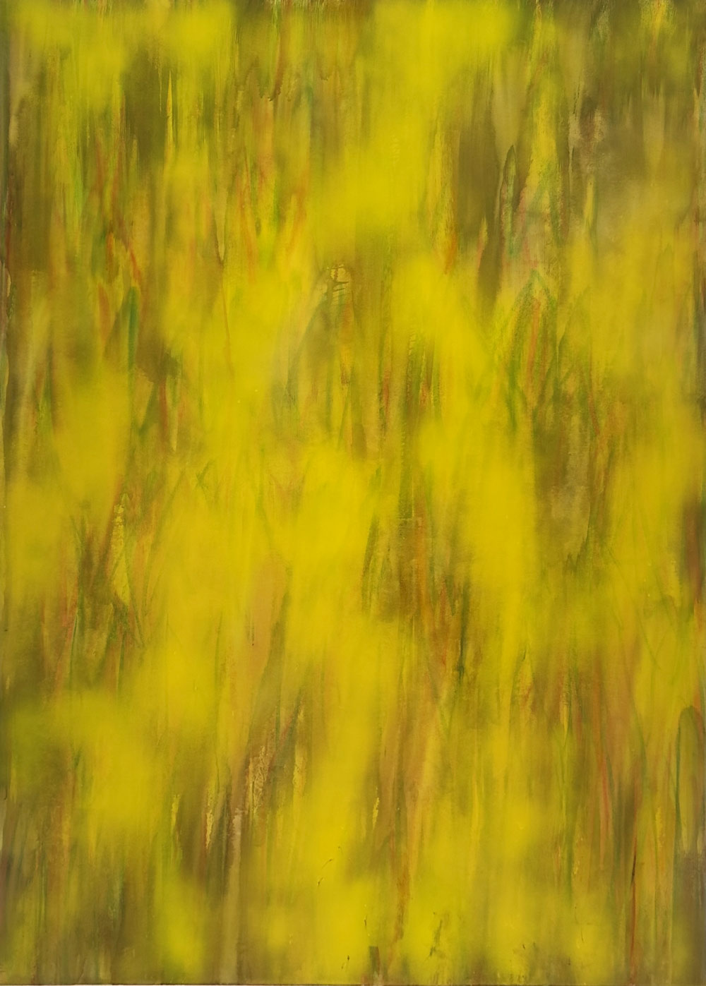 Stephan Furrer